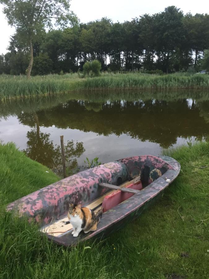Logies De Meerkoet Brujas Exterior foto