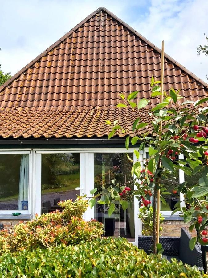 Logies De Meerkoet Brujas Exterior foto